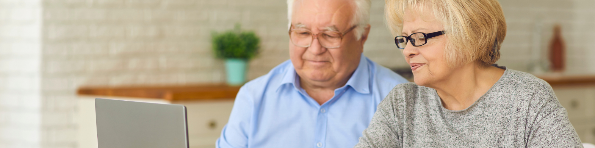 Older couple in kitchen looking at computer
