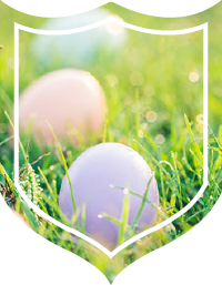 Colorful Easter eggs resting in grass